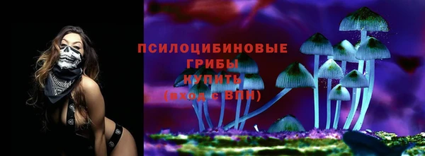 хмурый Гусиноозёрск